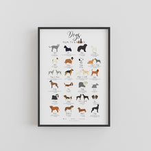 Load image into Gallery viewer, Dogs in Film, TV and Books Print