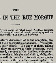 Load image into Gallery viewer, A5 Murders In The Rue Morgue Book Page Print