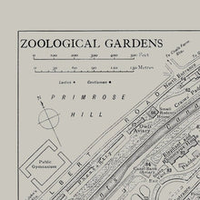 Load image into Gallery viewer, London Zoo Regent's Park Vintage Street Map Print