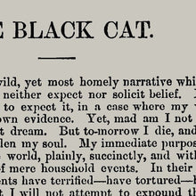 Load image into Gallery viewer, A5 The Black Cat Book Page Print - Edgar Allan Poe