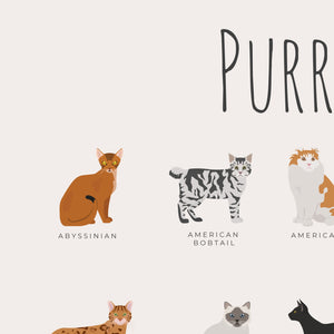 Purrfect Cat Breeds Print