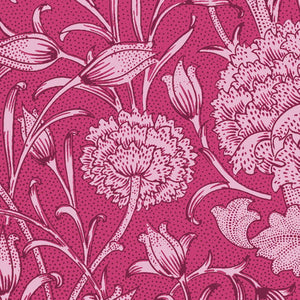 Wild Tulip William Morris Print, Sweet Lilac Pink Peacock